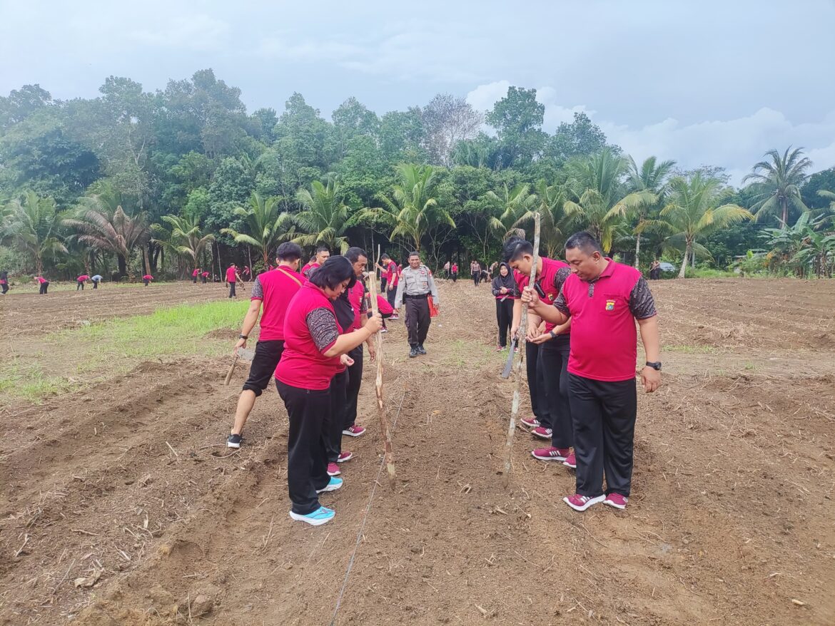 Polres Bangka Manfaatkan Lahan 1,2 Hektar untuk Ketahanan Pangan